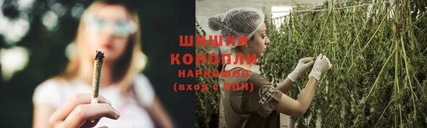 ГАЛЛЮЦИНОГЕННЫЕ ГРИБЫ Заводоуковск