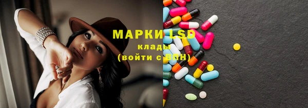 PSILOCYBIN Козловка