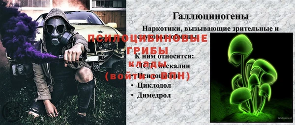 ГАЛЛЮЦИНОГЕННЫЕ ГРИБЫ Заводоуковск