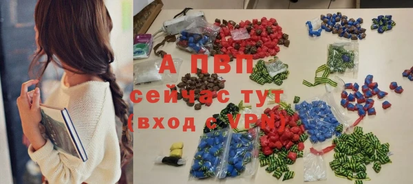 ГАЛЛЮЦИНОГЕННЫЕ ГРИБЫ Заводоуковск