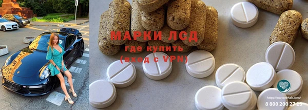 ГАЛЛЮЦИНОГЕННЫЕ ГРИБЫ Заводоуковск