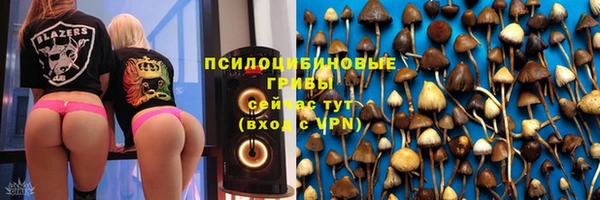 ГАЛЛЮЦИНОГЕННЫЕ ГРИБЫ Заводоуковск