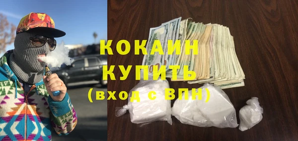ГАЛЛЮЦИНОГЕННЫЕ ГРИБЫ Заводоуковск