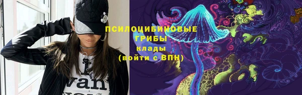 гашик Заволжье